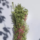 TOTEM NATURE - Bouquet du hérisson