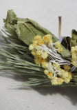 TOTEM NATURE - Bouquet de l'ours